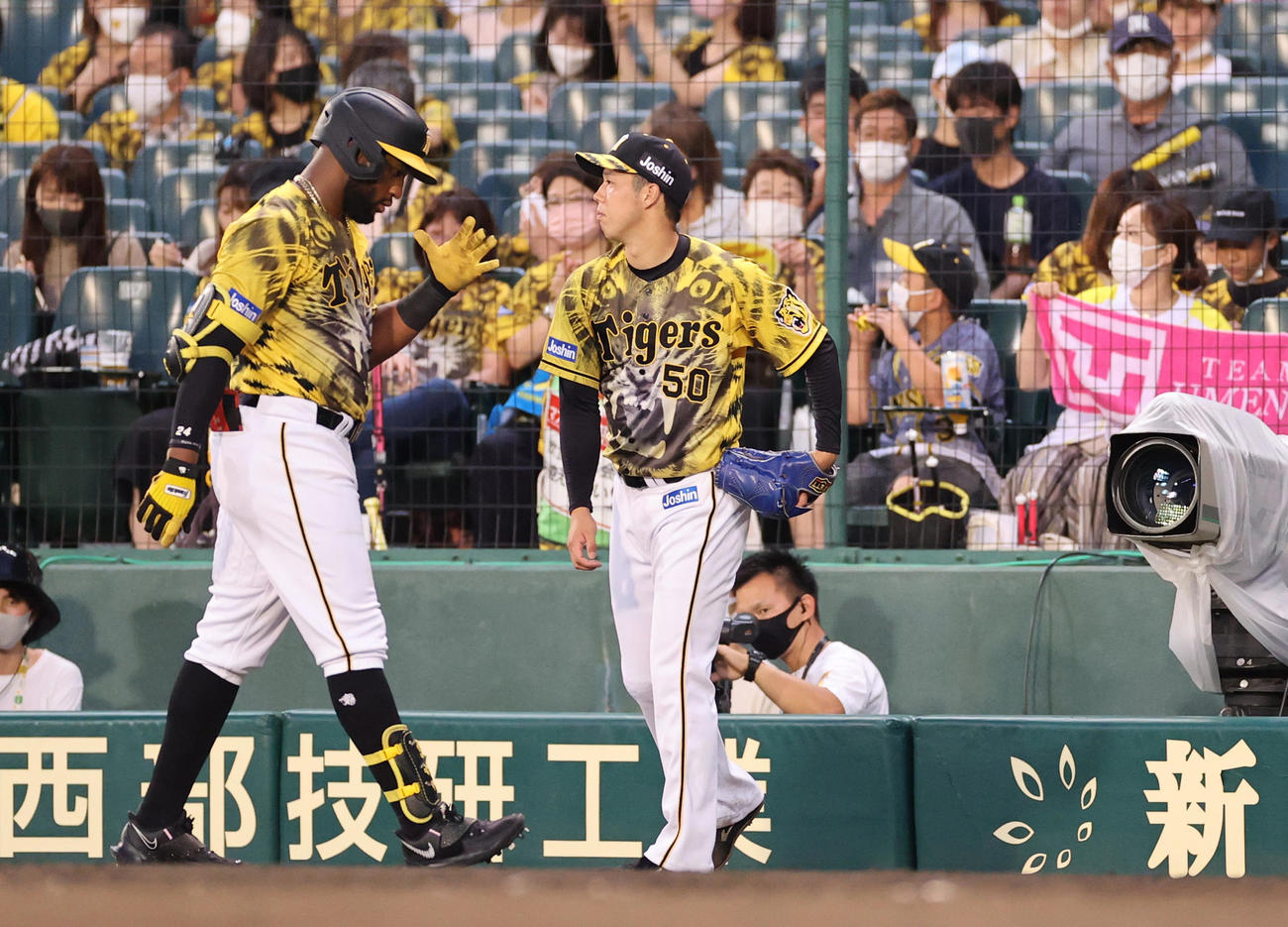 阪神対DeNA 4回裏阪神1死、遊ゴロに倒れるロハス・ジュニア（左）、右は青柳（撮影・清水貴仁）