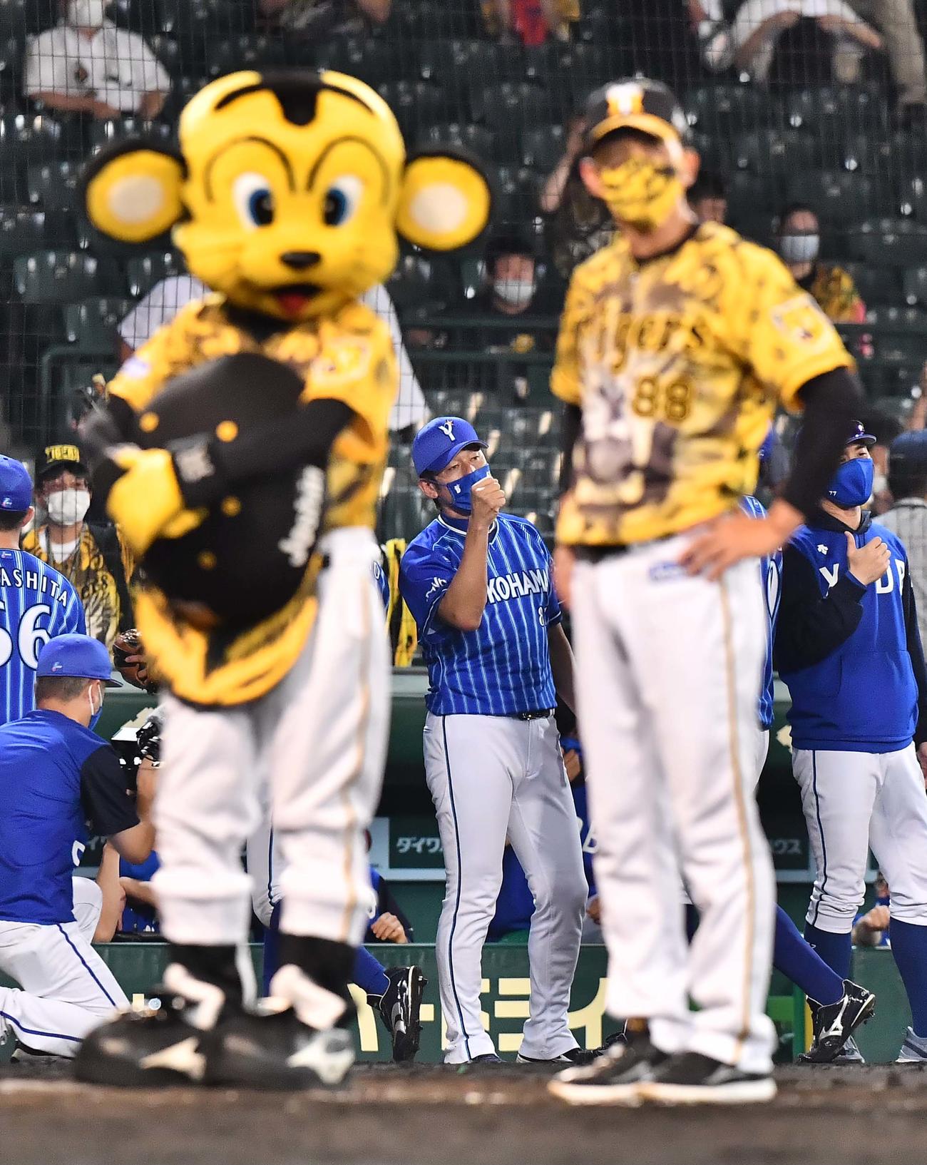 阪神対DeNA　阪神に勝利しナインとグータッチして喜ぶ三浦監督（中央）。手前右は矢野監督（撮影・上田博志）