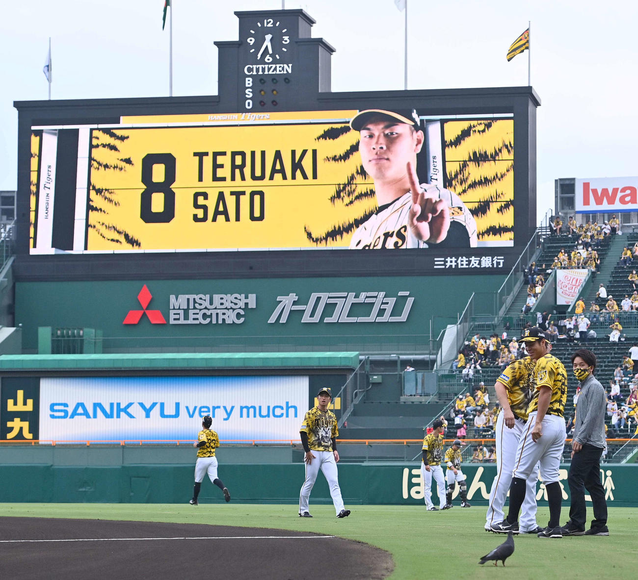 阪神対DeNA　グラウンドに降りてきた鳩を見つめる佐藤輝（右から2人目）（撮影・上田博志）