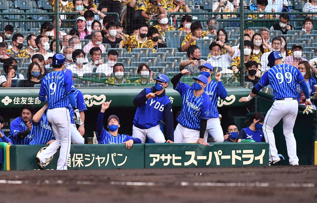 阪神対DeNA 2回表DeNA2死満塁、桑原将志の適時打で生還したソト（右）と大和を出迎えるDeNAナイン（撮影・上田博志）