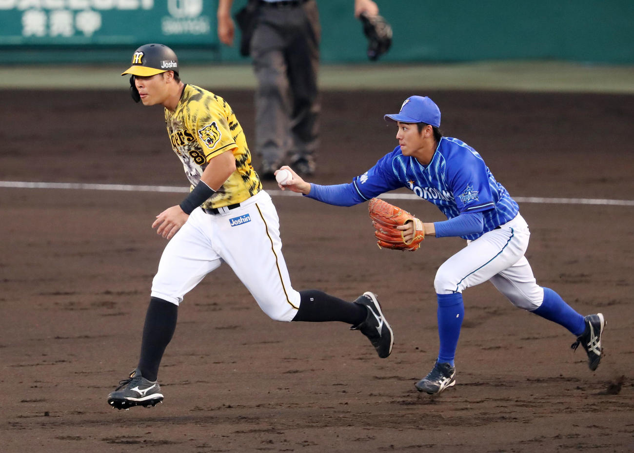 阪神対DeNA 2回裏阪神1死二塁、梅野が遊ゴロを打ち二塁走者佐藤輝が二、三塁間で挟殺される。野手は森（撮影・加藤哉）