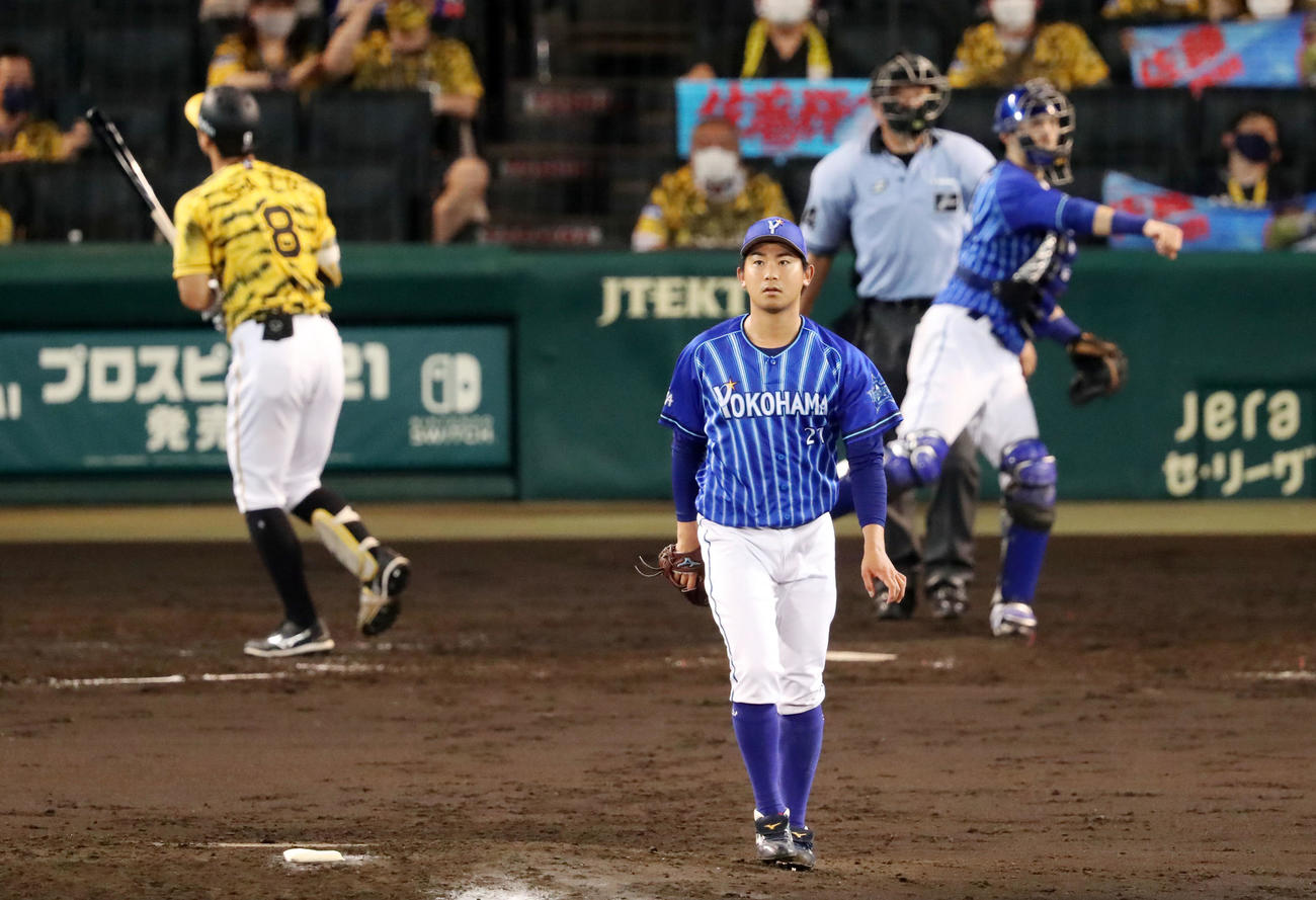阪神対DeNA 4回裏阪神1死、今永は佐藤輝から空振り三振を奪う（撮影・加藤哉）
