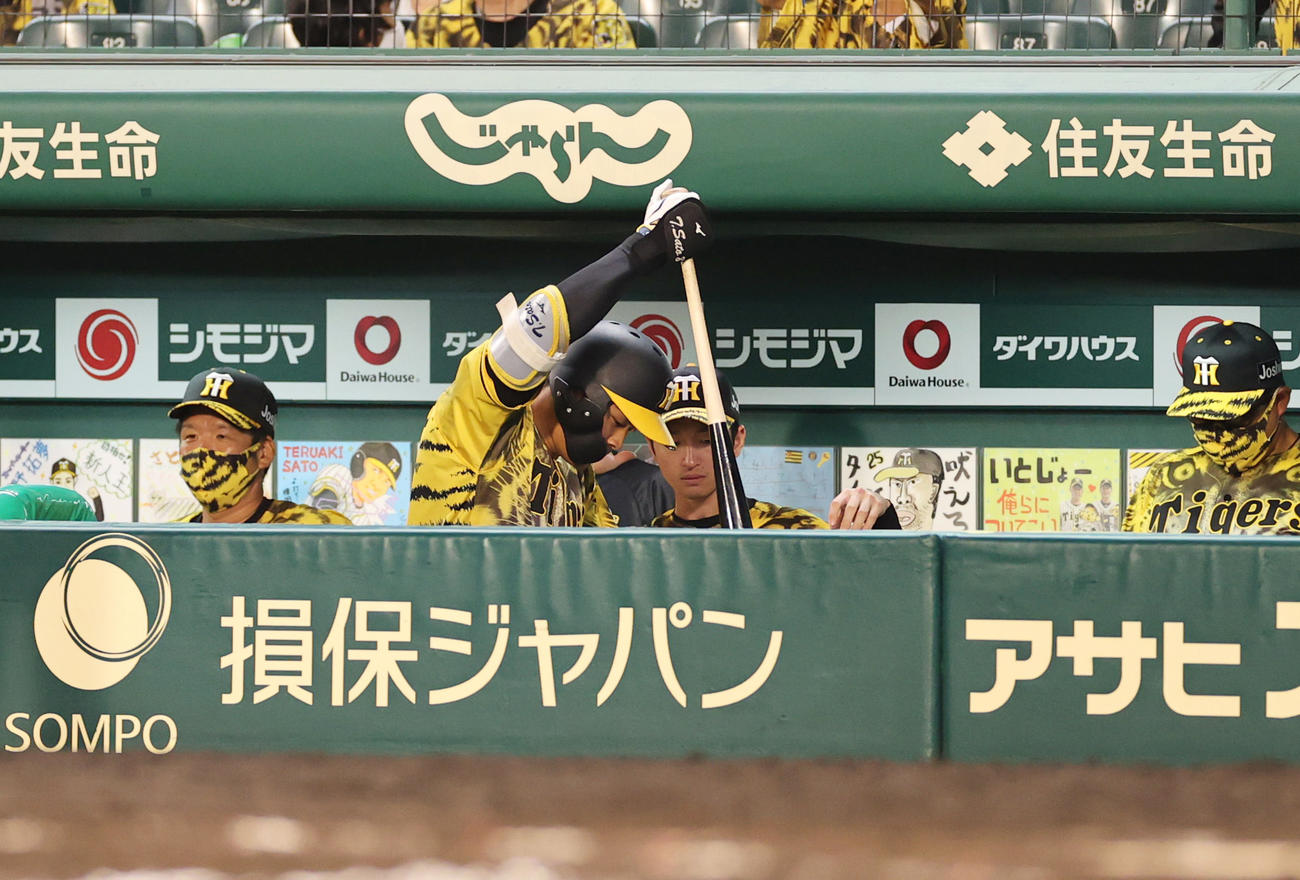 阪神対DeNA 8回裏阪神2死満塁、空振り三振に倒れた佐藤輝はベンチでバットをたたきつける（撮影・清水貴仁）