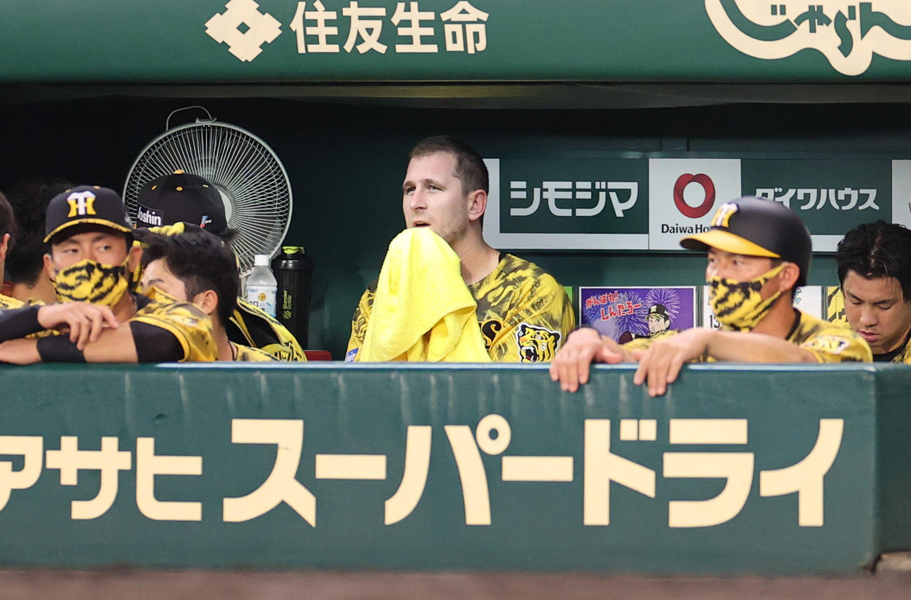 阪神対DeNA 4回にも失点しベンチで厳しい顔をみせる阪神ガンケル（撮影・清水貴仁）