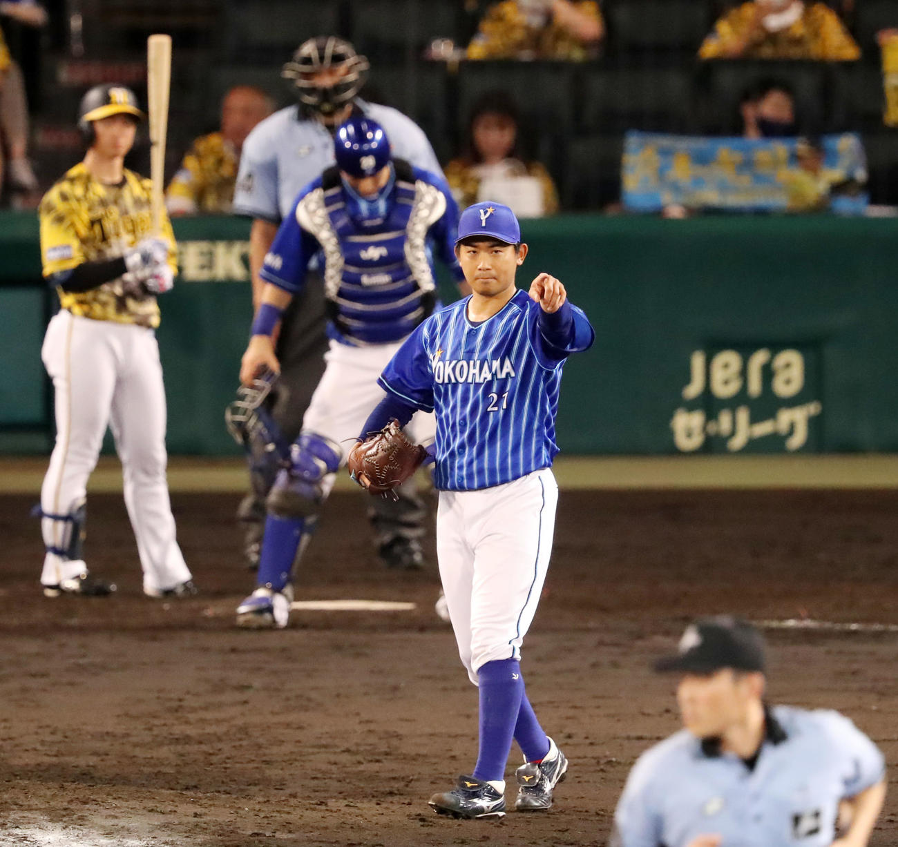 阪神対DeNA 5回裏阪神1死一塁、今永は一塁走者中野をけん制で刺し内野陣を指さす（撮影・加藤哉）