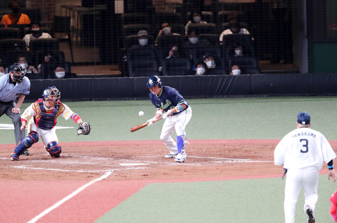 全パ対全セ　9回表全セ無死一、二塁、中村は一塁線に送りバント（撮影・加藤哉）
