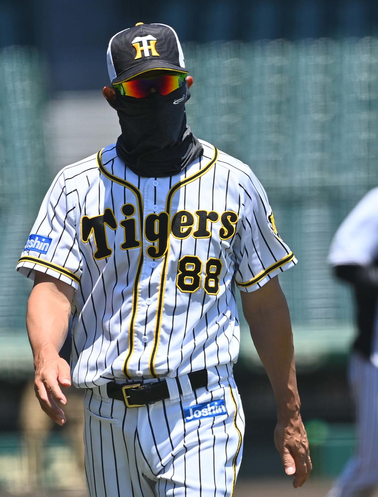 完全防備で練習を見つめた矢野監督（撮影・上田博志）