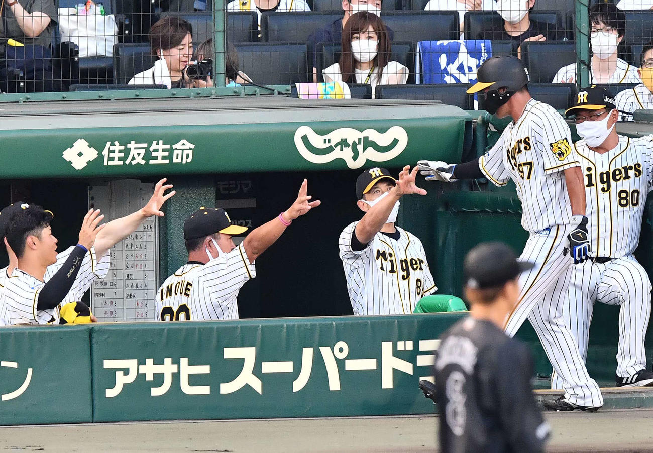 阪神対ロッテ　2回裏阪神1死二、三塁、島田の右犠飛で生還した小野寺（右から2人目）をベンチで出迎える矢野監督（右から3人目）（撮影・上田博志）