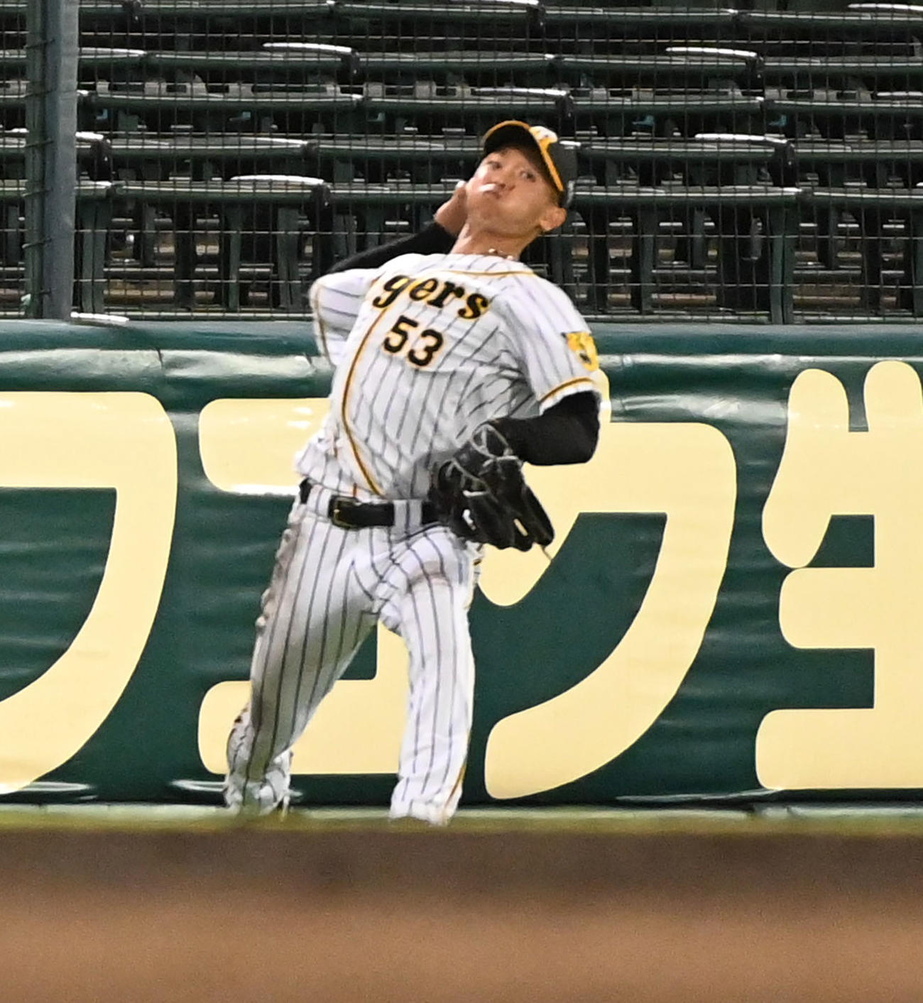 阪神対ロッテ　8回表ロッテ2死二塁、左適時打で二塁に向かった藤原を刺した島田（撮影・前岡正明）