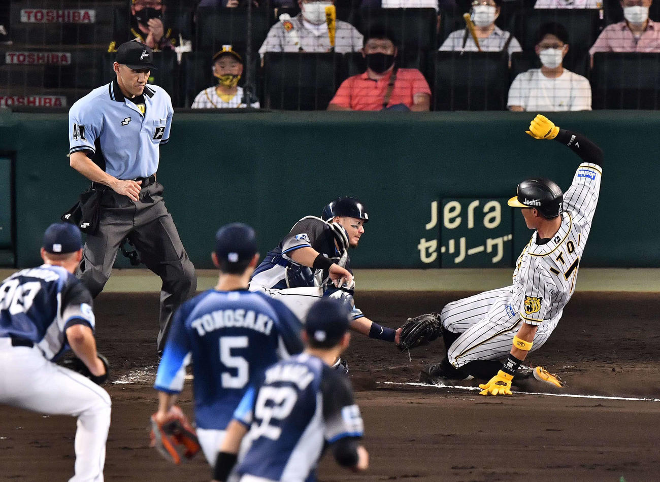 阪神対西武　7回裏阪神1死二、三塁、長坂の投ゴロで生還を狙うも憤死する糸井。捕手は森友哉（撮影・上田博志）