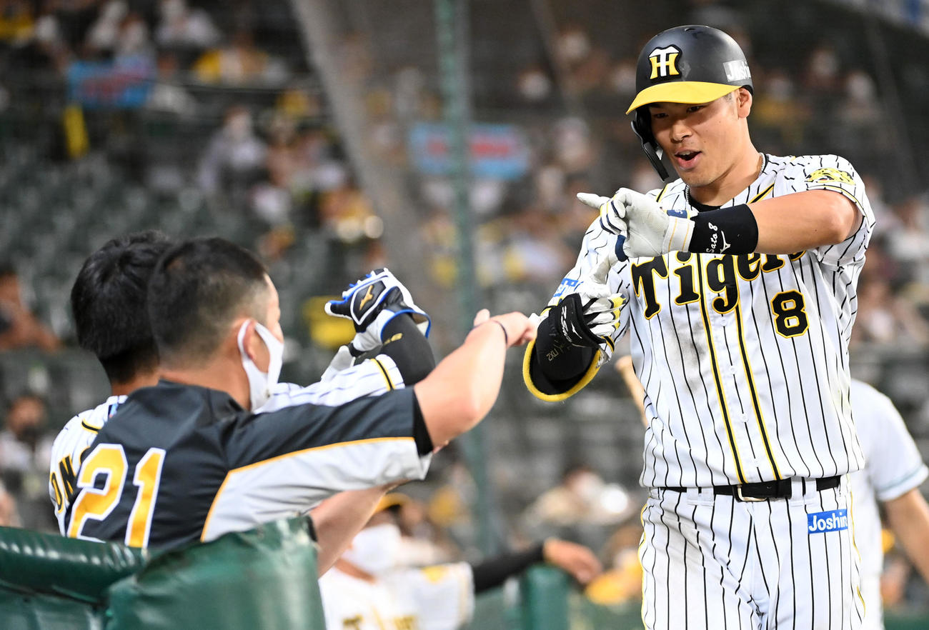 阪神対西武　8回裏阪神1死、佐藤輝は右越え本塁打を放ちベンチ前でZポーズ（撮影・前岡正明）