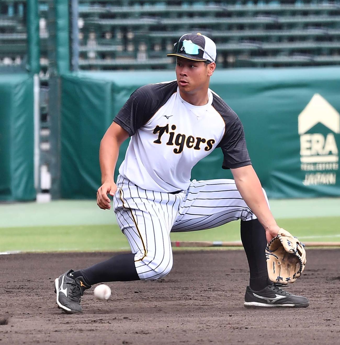 阪神対西武　三塁ノックを受ける佐藤輝（撮影・上田博志）