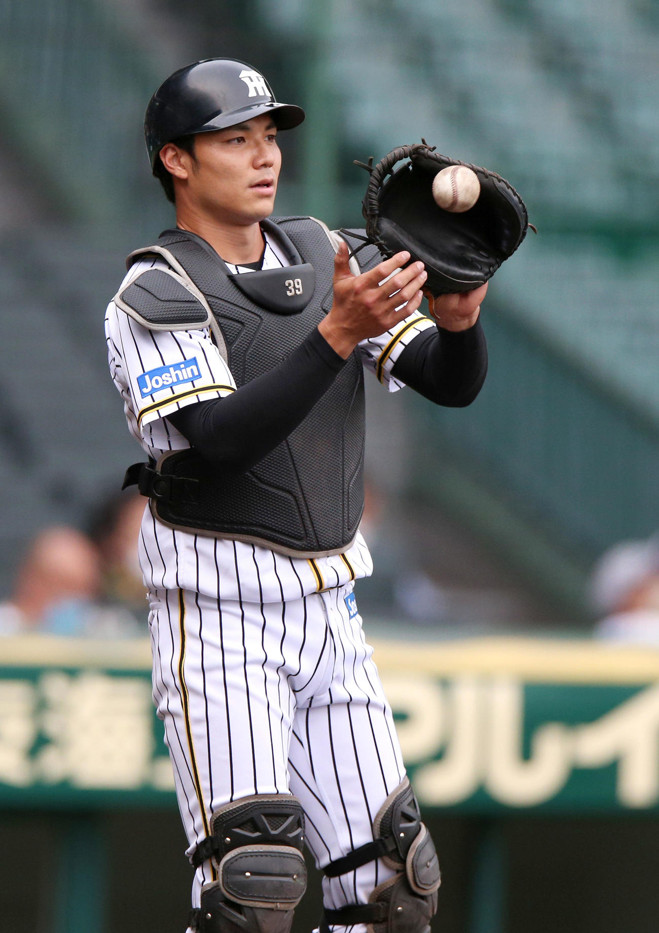 阪神栄枝裕貴（2021年6月11日撮影）