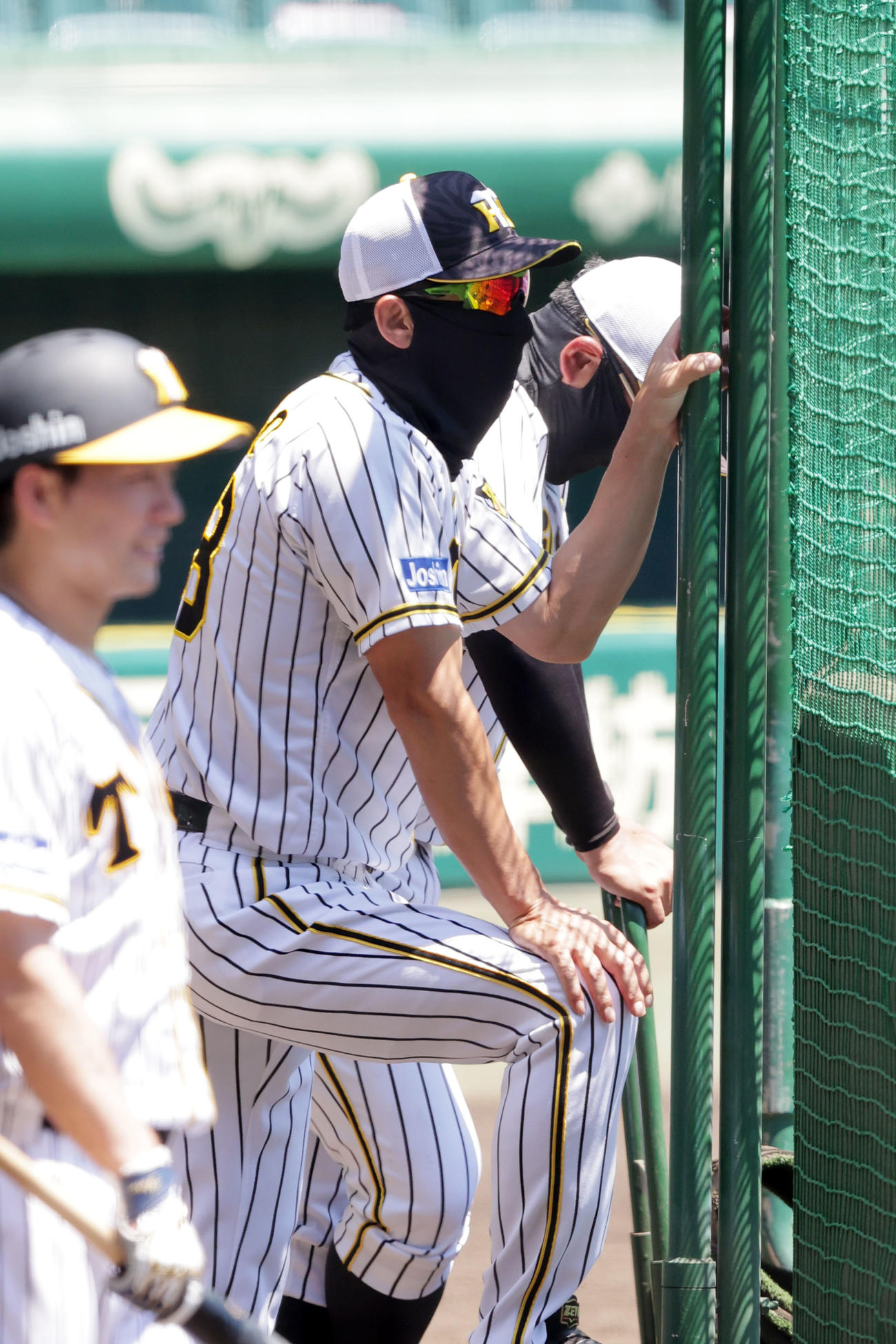 ケージ裏から打撃練習を見守る矢野監督（撮影・加藤哉）