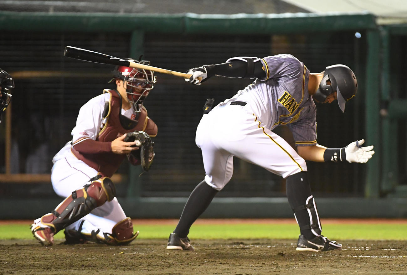 楽天対阪神　4回表阪神1死、佐藤輝は空振りの三振に倒れる（撮影・前岡正明）
