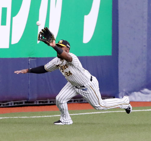 阪神対広島 1回表広島無死、ロハスは野間の飛球をダイビングキャッチ(撮影・加藤哉)