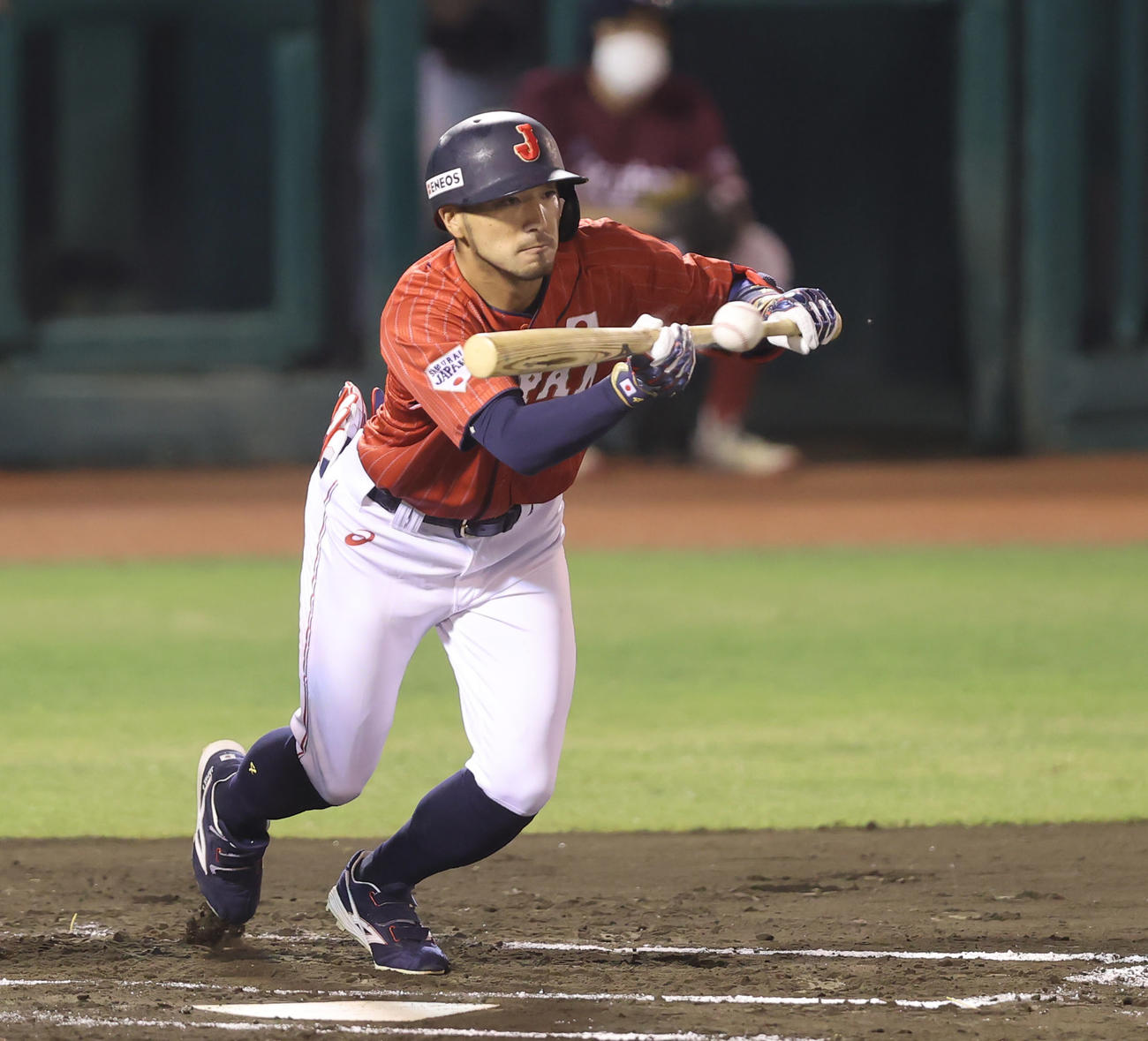 スクイズを決める侍ジャパン菊池涼介（2021年7月25日撮影）