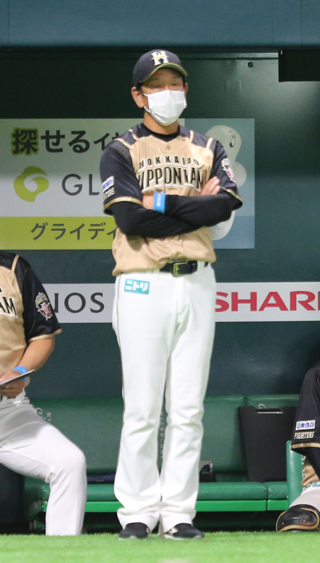 ソフトバンク対日本ハム　試合を見つめる栗山監督（撮影・屋方直哉）