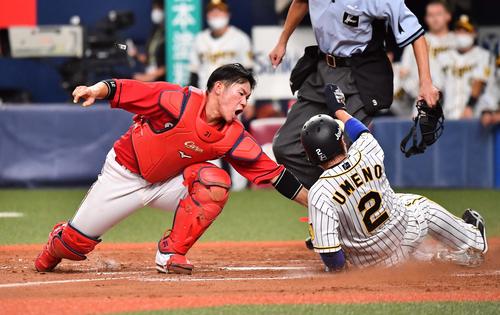 阪神対広島 4回裏阪神1死二塁、近本の右前安打で生還を狙うも憤死する梅野。捕手は坂倉(撮影・上田博志)