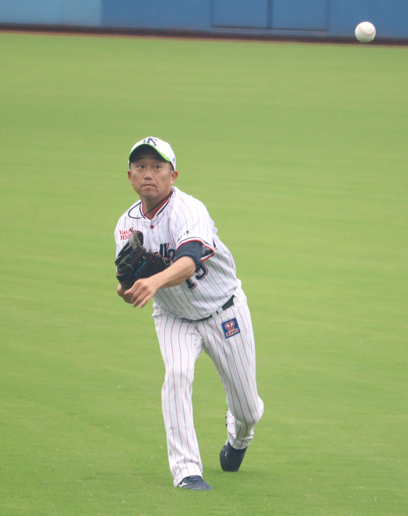 キャッチボールで調整するヤクルト石川（撮影・湯本勝大）