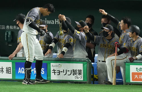 DeNA対阪神　3回表阪神1死、右越え本塁打を放ちチームメートから虎メダルを掛けられる佐藤輝（左）（撮影・横山健太）