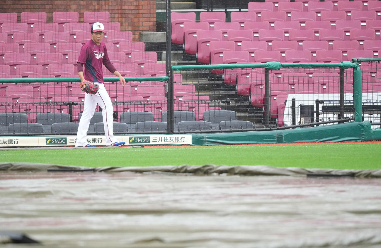 雨の中グラウンドに姿を現す楽天早川（撮影・鈴木みどり）