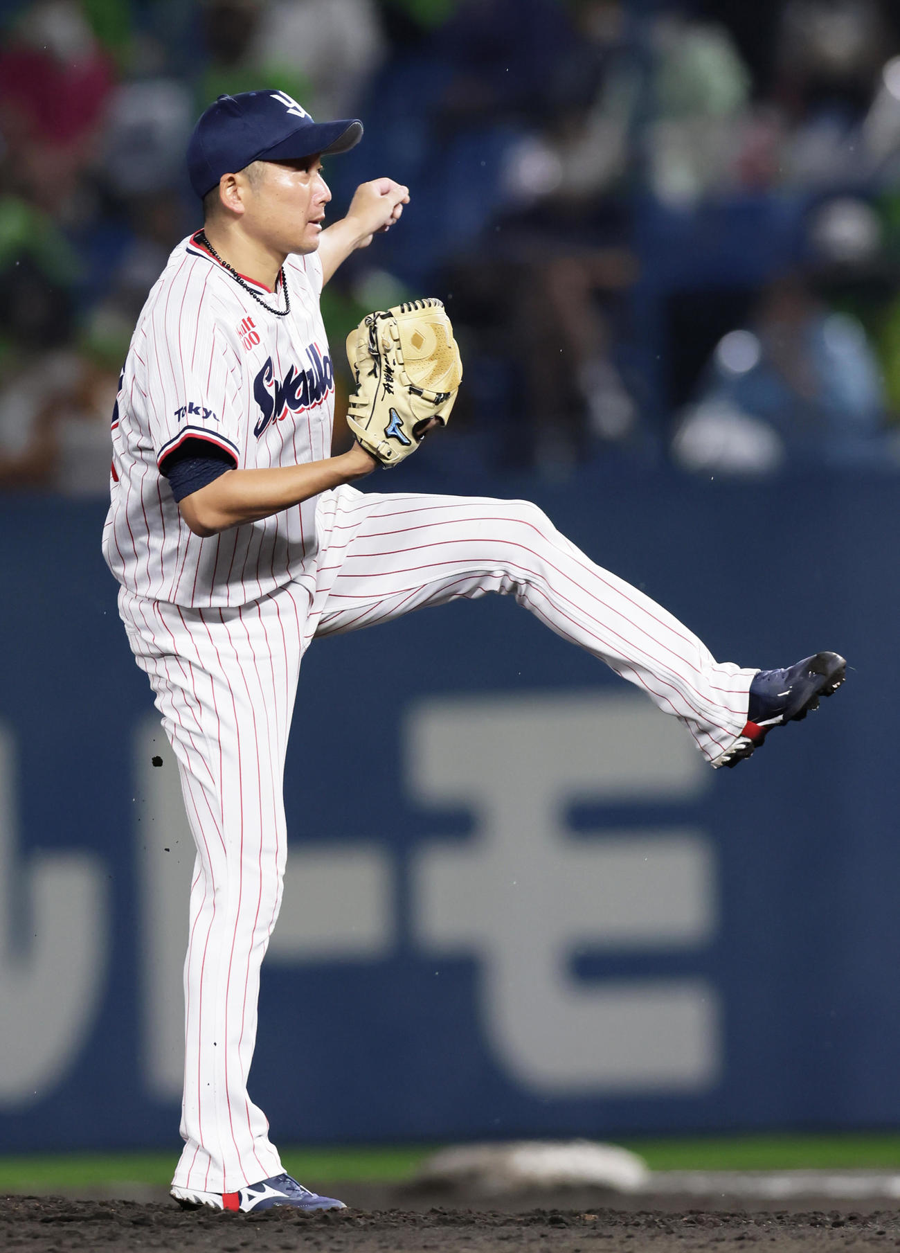 ヤクルト対巨人　6回表巨人無死、代打若林を見逃し三振に仕留める石川（撮影・足立雅史）