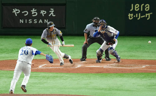 DeNA対阪神　4回表阪神無死、近本は三塁への内野安打で出塁する（撮影・横山健太）