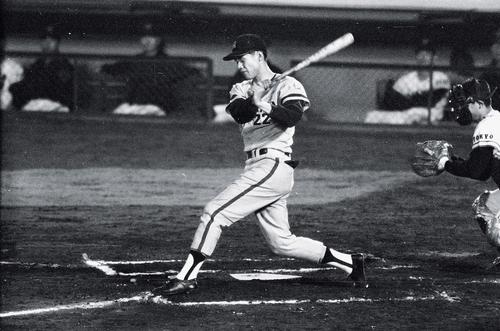 佐藤輝明、69年田淵に並んだ阪神新人最多22号球が甲子園歴史館で展示へ