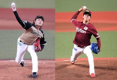 日本ハム伊藤大海、楽天岸孝之