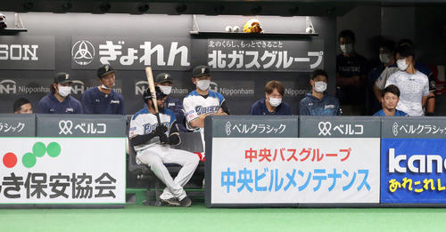 日本ハム対楽天　意気消沈の日本ハムベンチ（撮影・佐藤翔太）