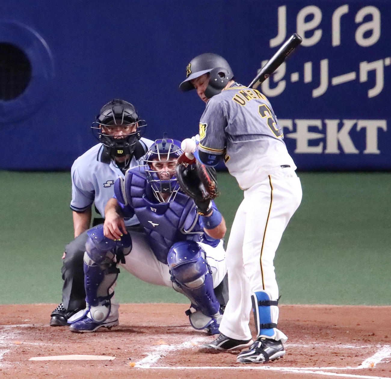 中日対阪神　2回表阪神1死一、三塁、梅野は左腕に死球を受ける（撮影・加藤哉）