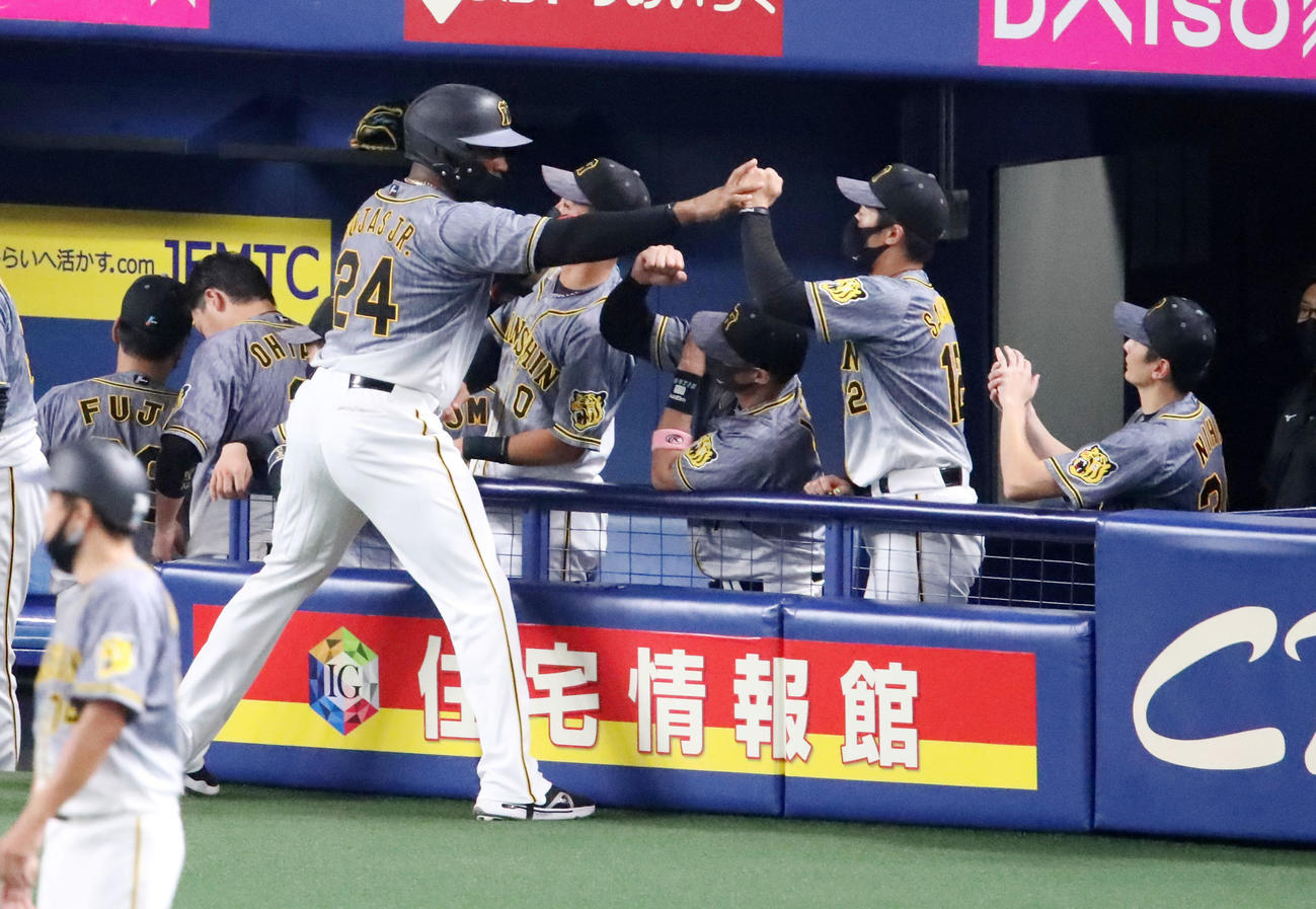 中日対阪神　4回表阪神2死三塁、三塁走者ロハスは代打島田の右前適時打で生還しベンチのナインとエアタッチする（撮影・加藤哉）