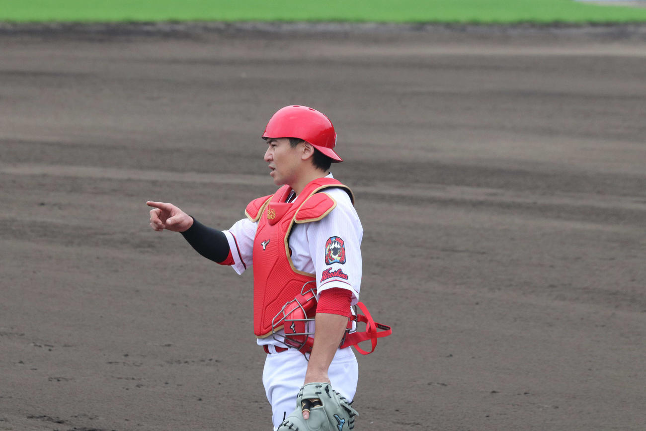 紅白戦で内野陣に指示を出す広島会沢翼捕手（撮影・前原淳）