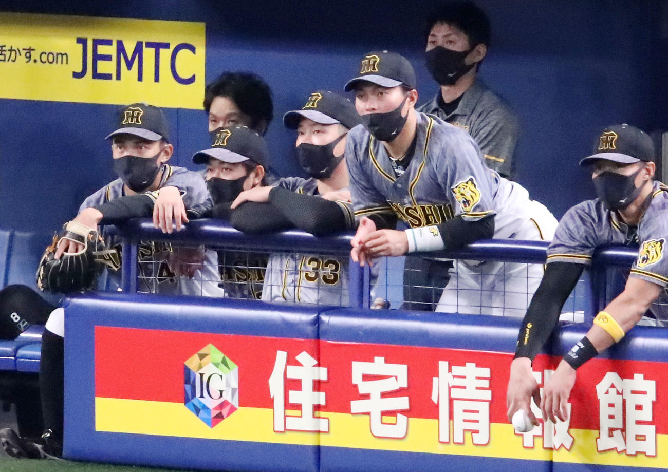 中日対阪神　ベンチから試合を見守る阪神糸原（中央）（撮影・加藤哉）