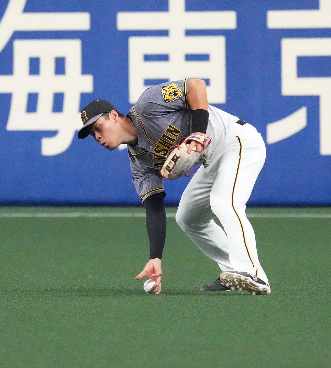 中日対阪神　7回裏中日無死、ダヤン・ビシエドの打球を捕球する佐藤輝（撮影・森本幸一）