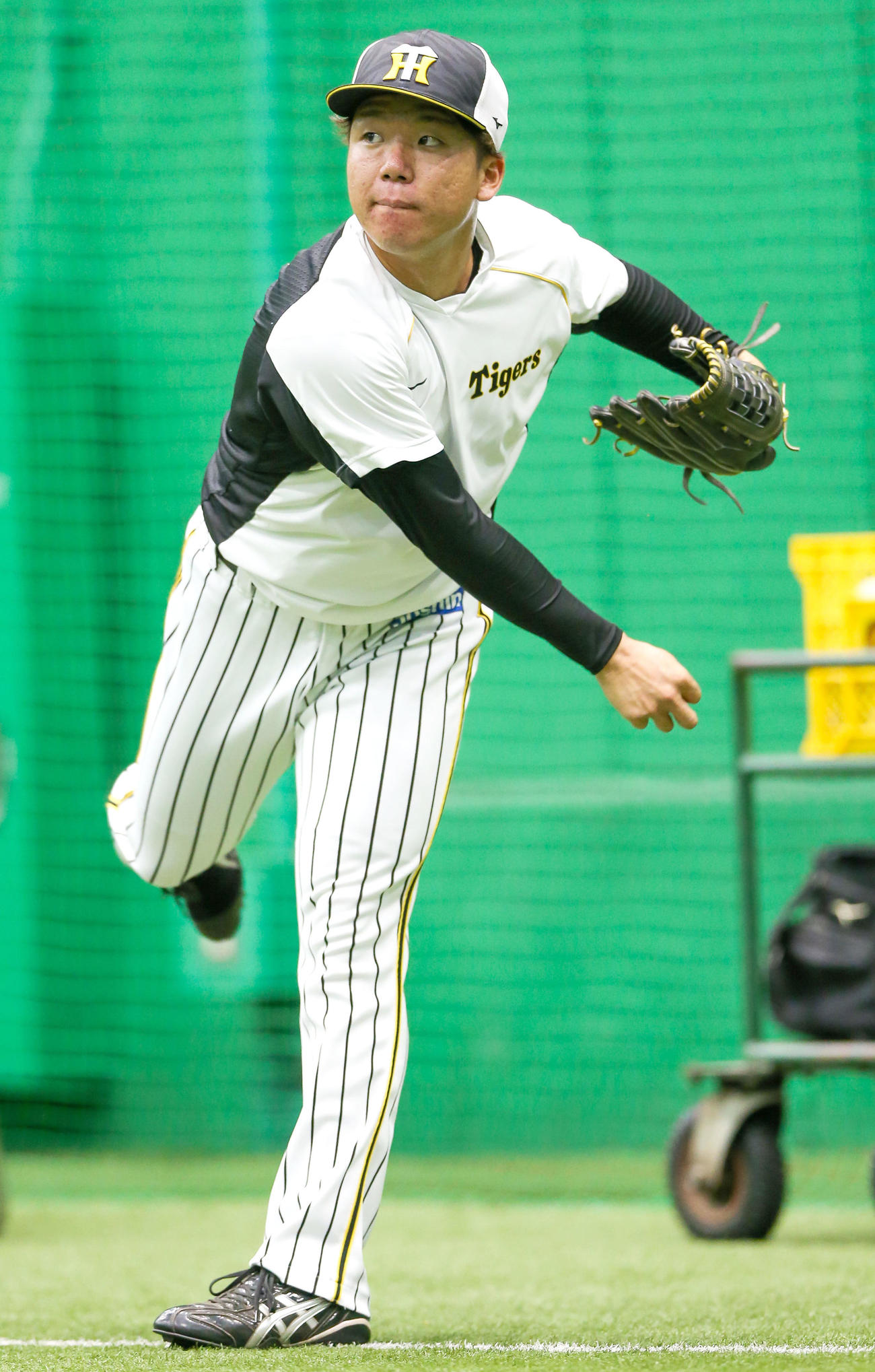 1軍合流の阪神村上はキャッチボールで汗を流す（撮影・上山淳一）