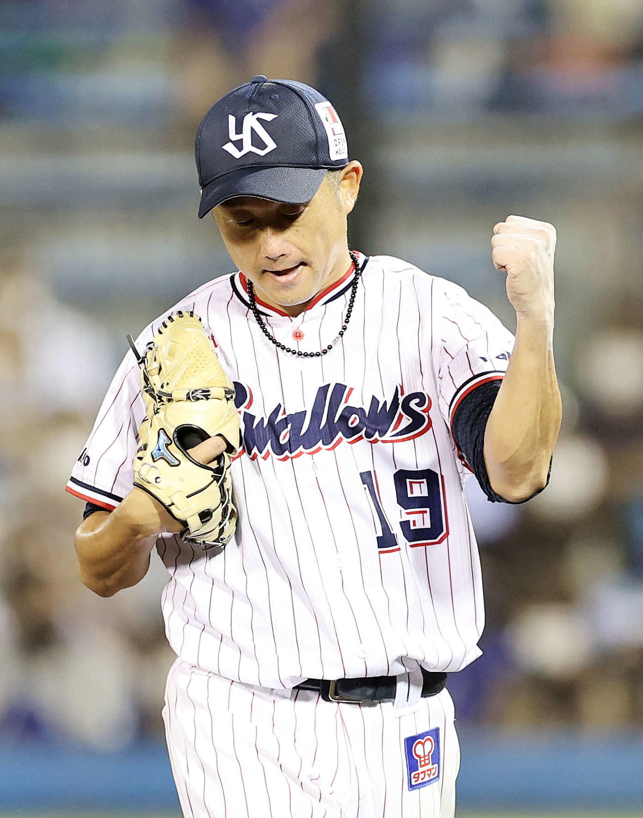ヤクルト対中日　5回表、中日の攻撃を抑えガッツポーズするヤクルト石川（撮影・鈴木正人）