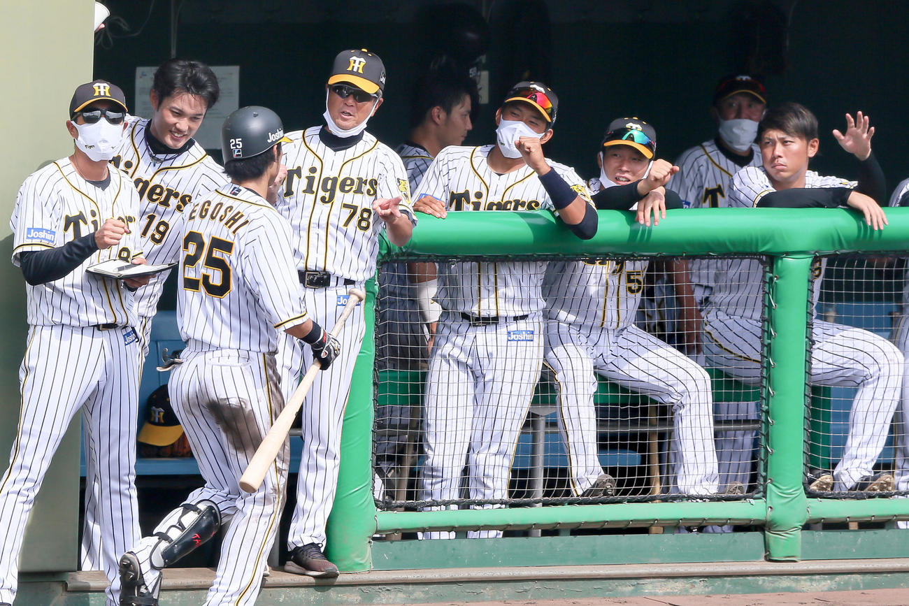 7回裏阪神無死、江越大賀（手前）は左越え本塁打を放ち平田勝男2軍監督（左から3人目）らから出迎えを受ける（代表撮影）