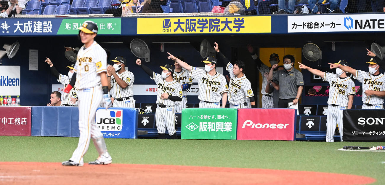 阪神対DeNA 7回裏阪神2死一、二塁、島田の右前適時打に喜ぶ阪神ナイン（撮影・前岡正明）