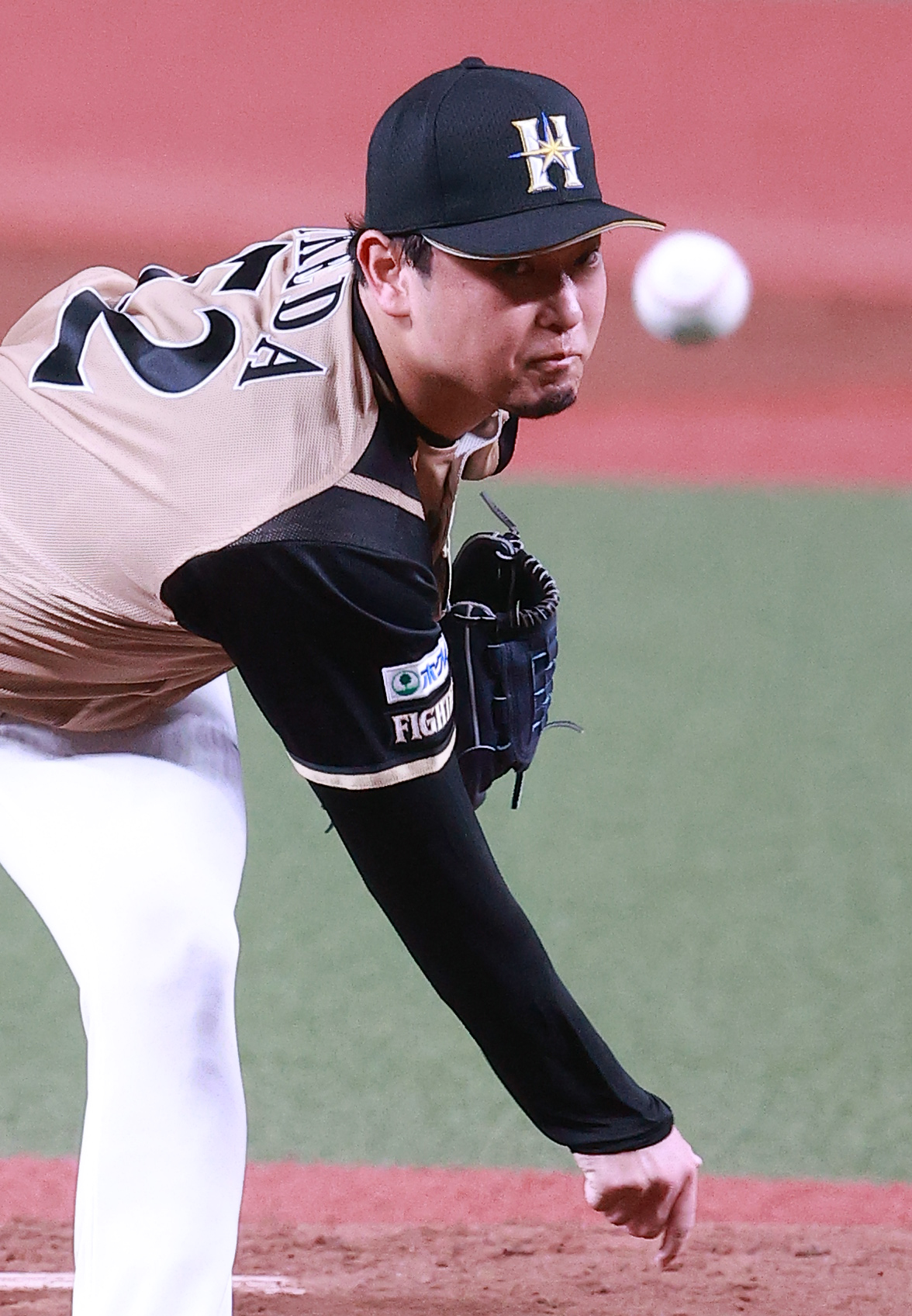 西武対日本ハム　力投する日本ハム先発の池田（撮影・浅見桂子）