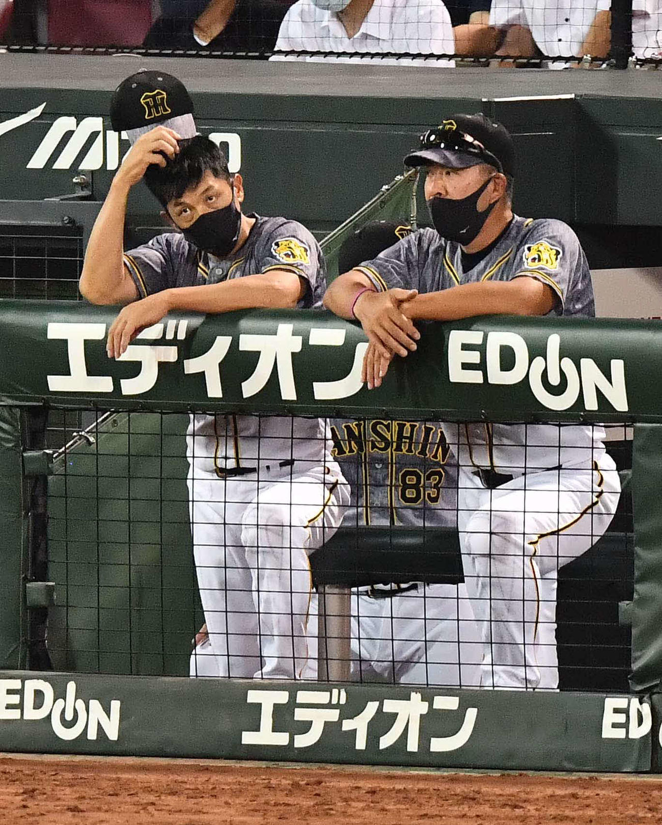 広島対阪神　ベンチで頭をかく矢野監督、右は井上ヘッドコーチ（撮影・上田博志）