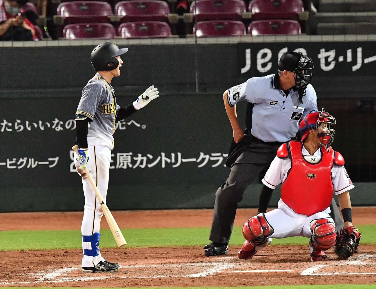 広島対阪神　8回表阪神無死、ファウルが腹部に当たった北川博敏コーチにあやまる近本（撮影・上田博志）