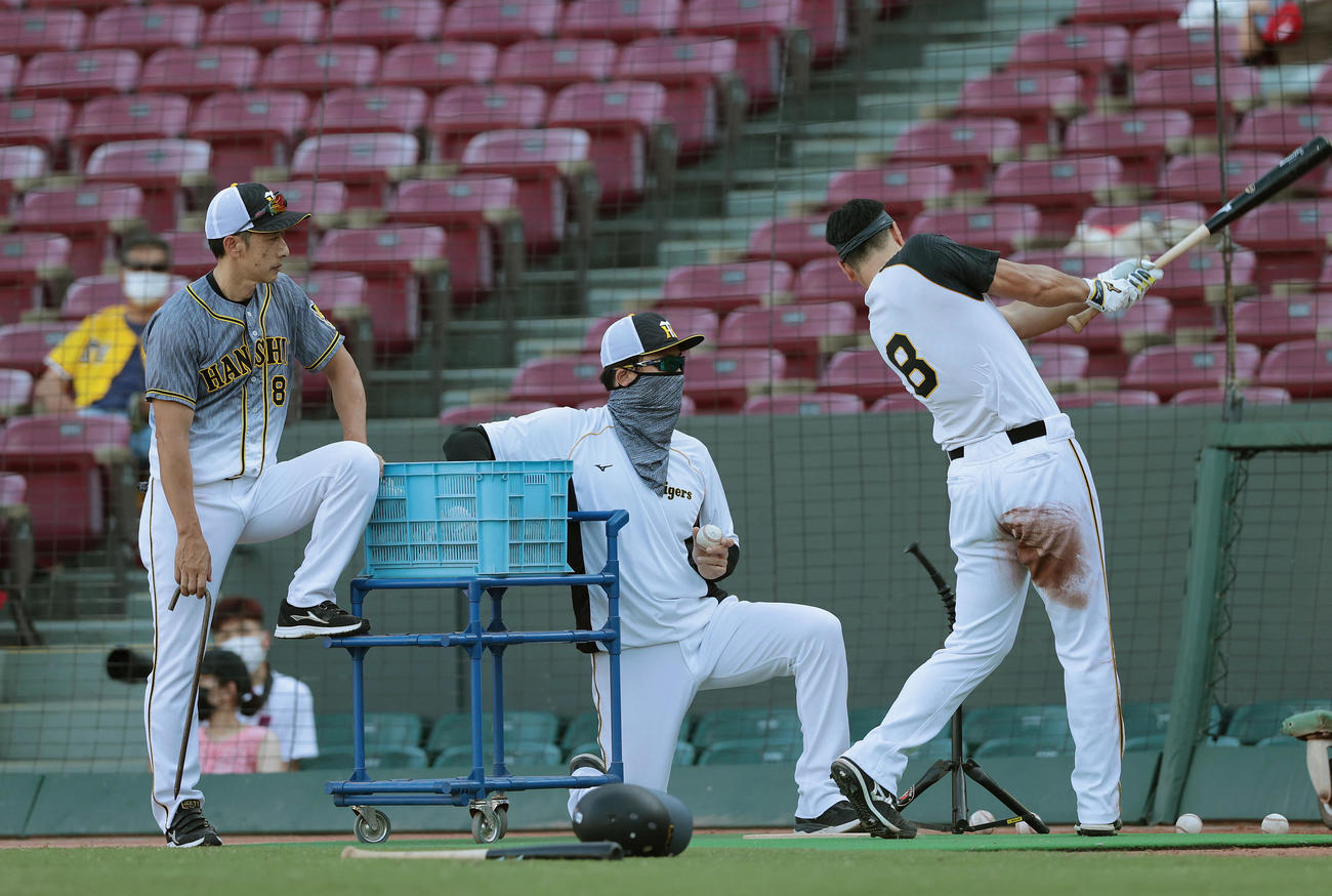 広島対阪神　試合前練習で阪神佐藤輝（右）のティー打撃を見つめる矢野監督（左）（撮影・前田充）
