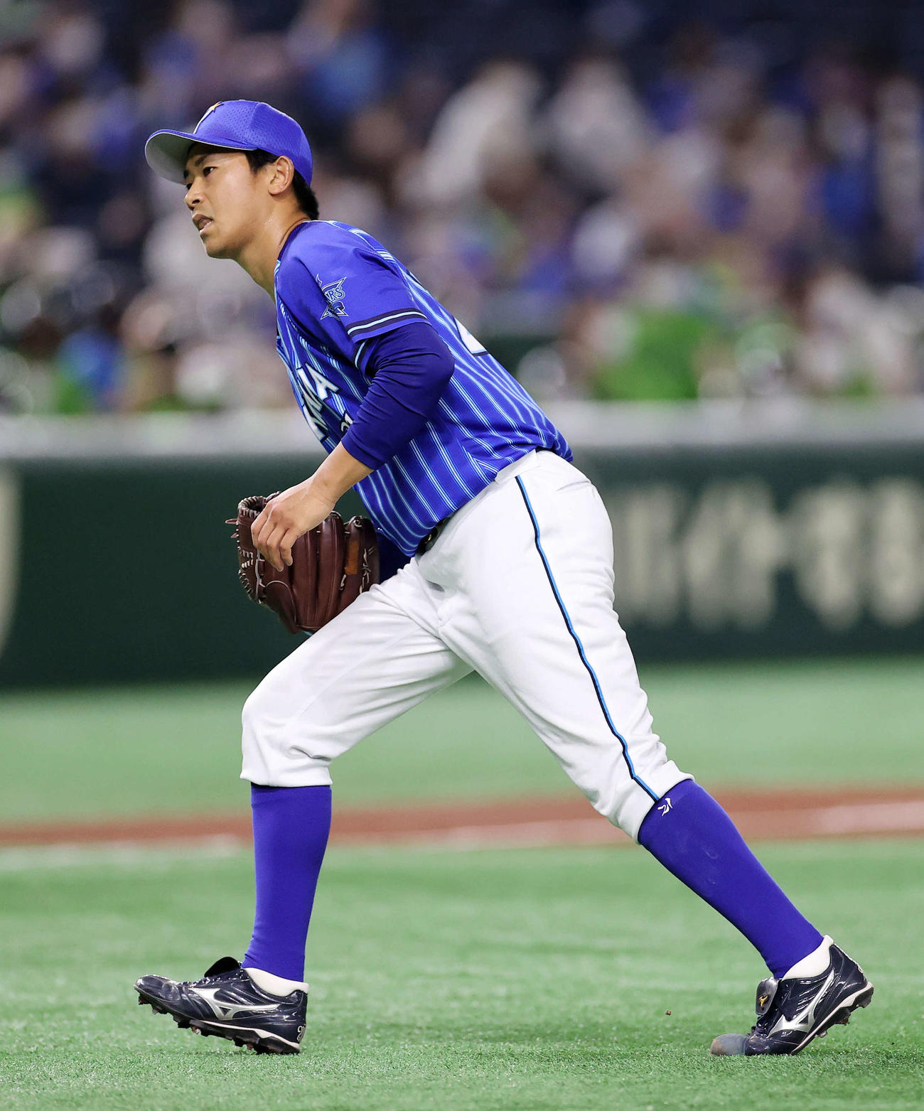 ヤクルト対DeNA 3回裏、ヤクルトの攻撃を抑えベンチに引き揚げるDeNA今永（撮影・鈴木正人）