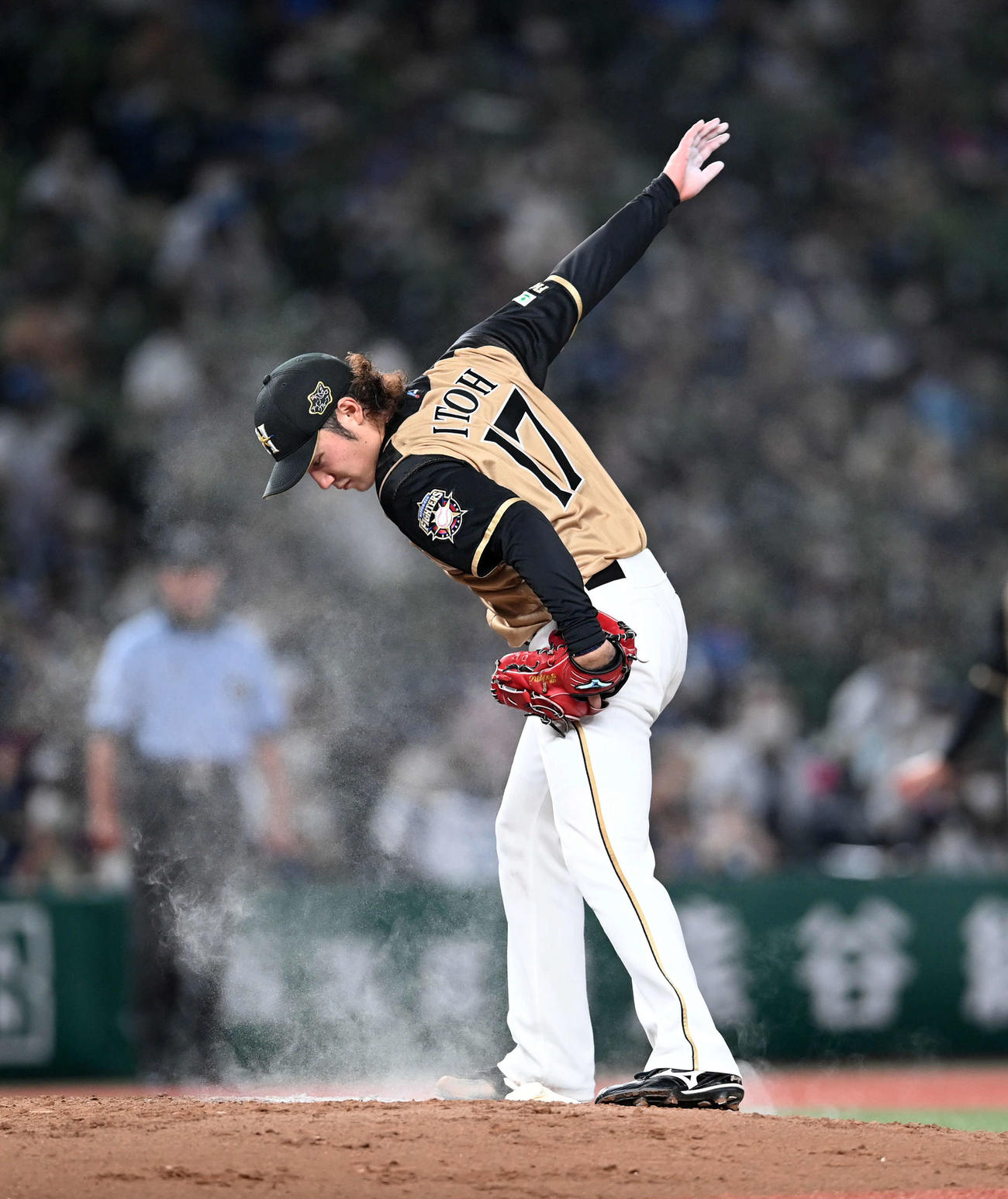 西武対日本ハム　今季8勝目を初完封勝利で飾った日本ハムの伊藤（撮影・たえ見朱実）