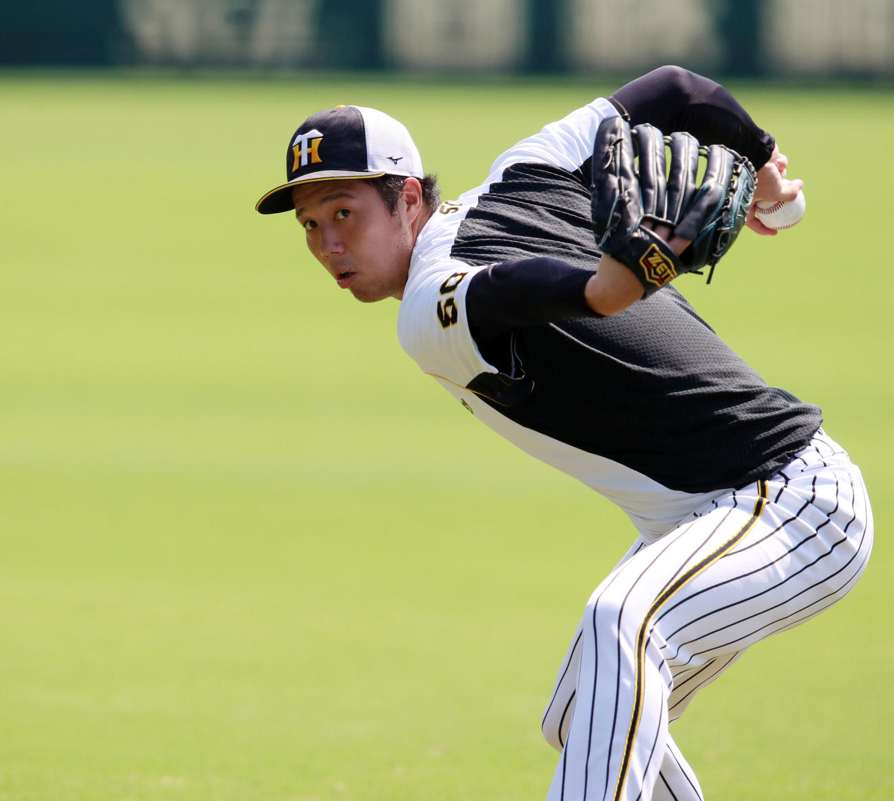 甲子園球場で指名練習を行いキャッチボールする青柳（撮影・加藤哉）