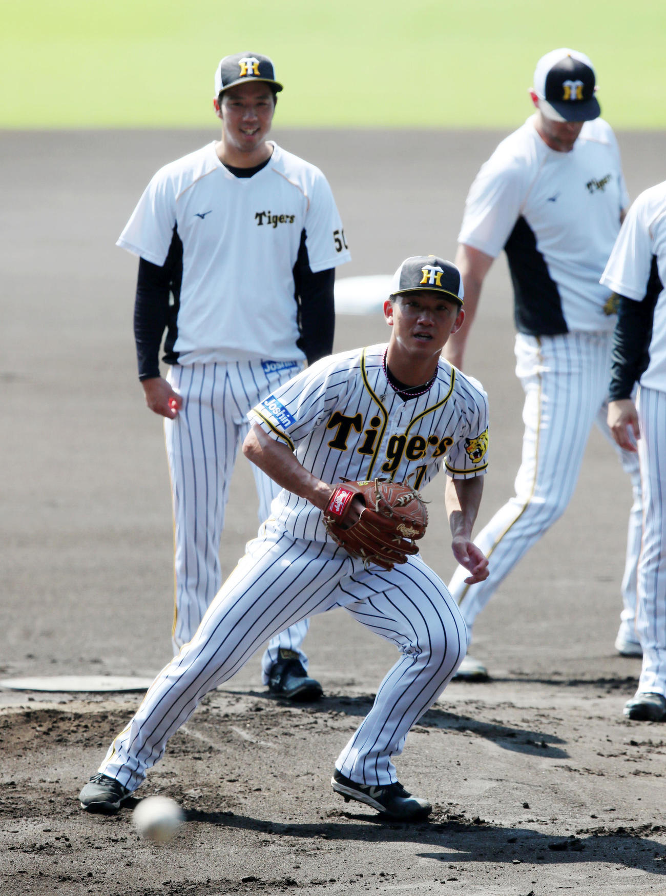 甲子園球場でゴロ捕球する伊藤将。左は青柳、右はガンケル（撮影・加藤哉）