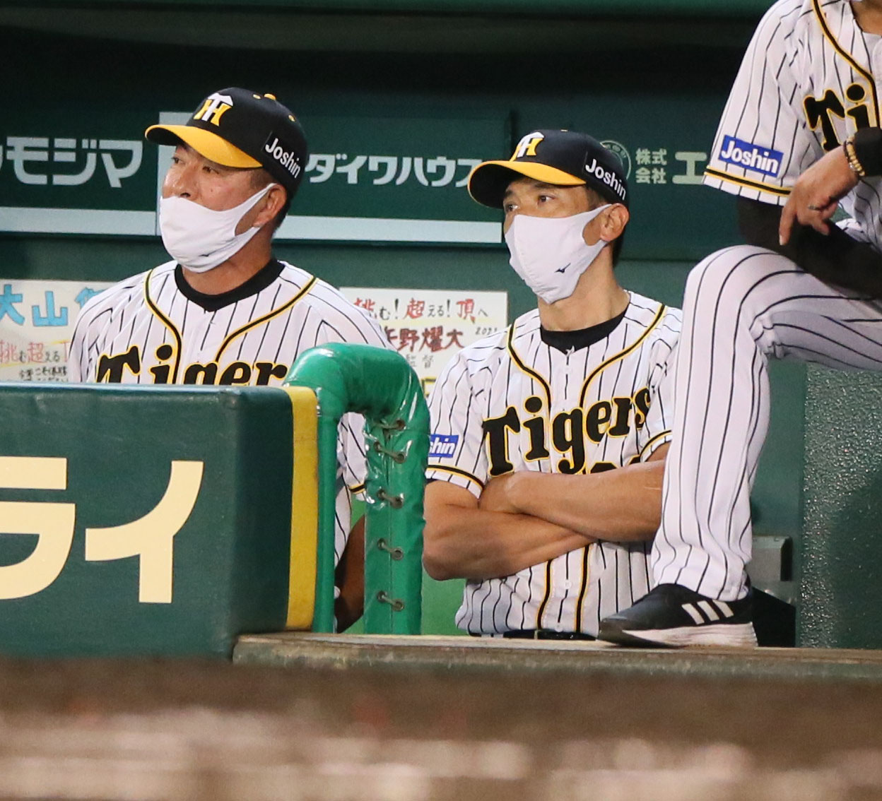 阪神対中日　ベンチで腕組みする矢野監督（右）（撮影・上山淳一）