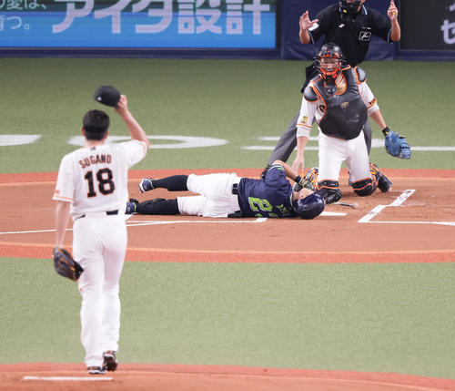巨人対ヤクルト 1回表ヤクルト1死、菅野から死球を受け倒れ込む青木(撮影・足立雅史)